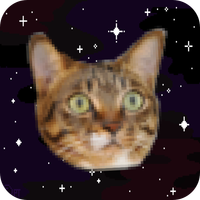 Cats In Space!