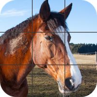 Beautiful Horses Puzzle