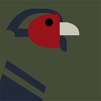 Find the Birds: Japan