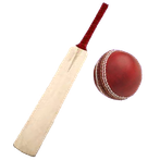 Sports : Cricket Batting