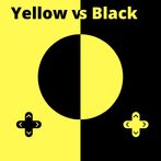 Yellow vs Black