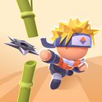 Ninja Master