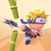 Ninja Master