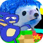 Fast Sanic Goo! Adventure