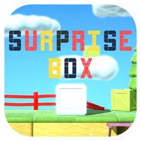 Surprise Box