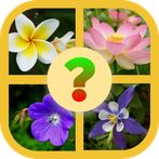 Flowers Quiz