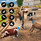 Angry Goat _ Animal Simulator