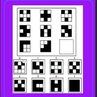 초고도영재교육 IQ Test