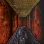 Тараканьи Бега