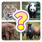 Tebak Nama Hewan
