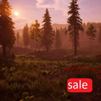 The Region: Survival