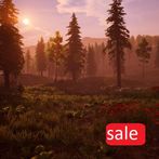 The Region: Survival