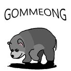 Gommeong Fly