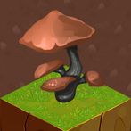 Fungal Colony Simulator