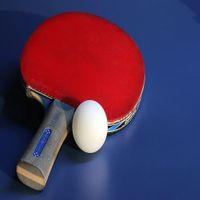 BattlePong2