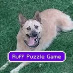 Ruff Puzzle Game