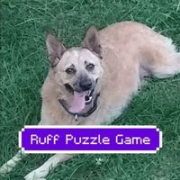 Ruff Puzzle Game