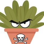 Winni the Poo Plants Attack