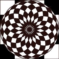 Chessboard Evolution