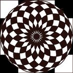 Chessboard Evolution