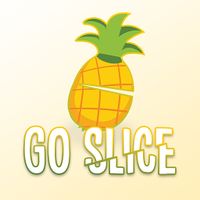 Go Slice