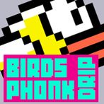 Birds Crazy Amoung Go Mine and
