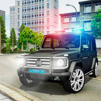 G65 Police Inspector Simulator