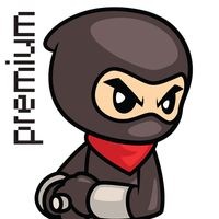 The Ninja Runner Premium