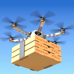 Pizza Home Delivery Drone City