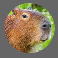 Carpinchos al Ataque