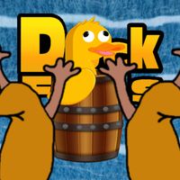 Duck Falls