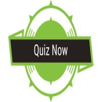 Quiz Now