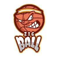 ZigBall
