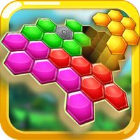 Hexa Puzzle Block Matching