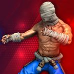 Street Taken Fighter