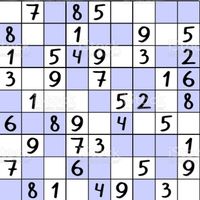 Sudoku Puzzle Book