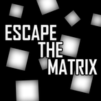 ESCAPE THE MATRIX