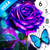 Mint XX Games