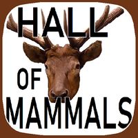 PA State Museum Hall of Mammal