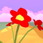 Flower Run