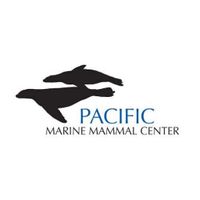 Marine Mammal Mania
