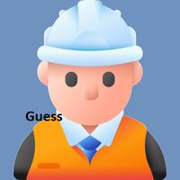 Guess Construction