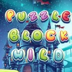 Puzzle Wild Block Game