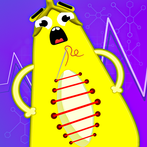 Fruit Doctor ASMR Hospital