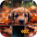 Slide Puzzle : Sliding Puzzle