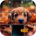 Slide Puzzle : Sliding Puzzle