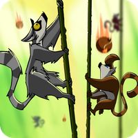 Monkey's ropes party