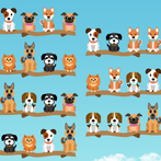 Dog Sort Puzzle
