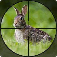 Rabbit Hunting Bow Games