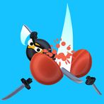 Ninja Climber!